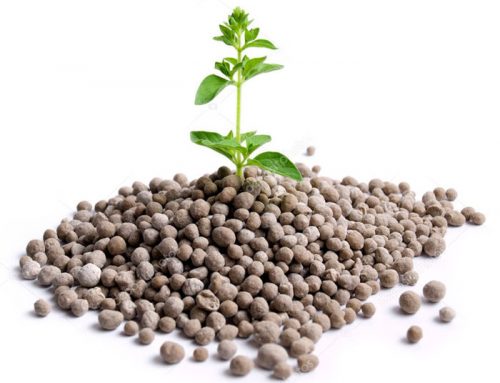 嘉施利肥料品牌 – 完整产品墙
