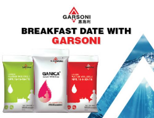 Breakfast date with Garsoni (Cameron Highland)