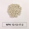 金园宝<br>NPK12-12-17+2+TE - 图片 2